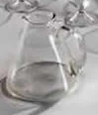 R. Lalique Arbois Pitcher