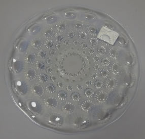 R. Lalique Asters Assiette