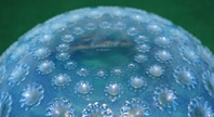 Rene Lalique Asters Bowl 