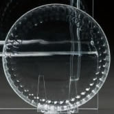 R. Lalique Blois Plate