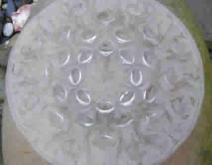 R. Lalique Bulbes Dish