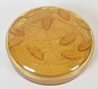 R. Lalique Cleones Box