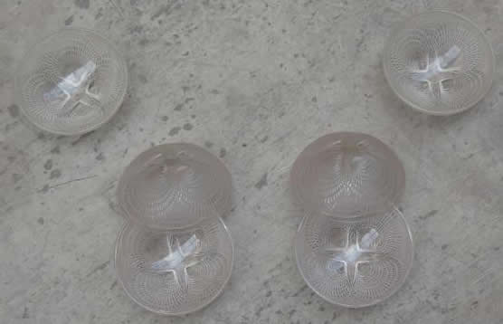 Rene Lalique Coquilles Bowl 