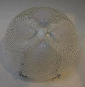 Rene Lalique Coquilles Lighting Fixture 