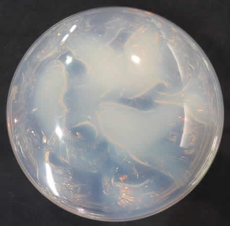 R. Lalique Cyprins Box