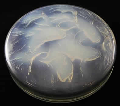 R. Lalique Cyprins Box