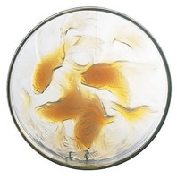 R. Lalique Cyprins Box Cover