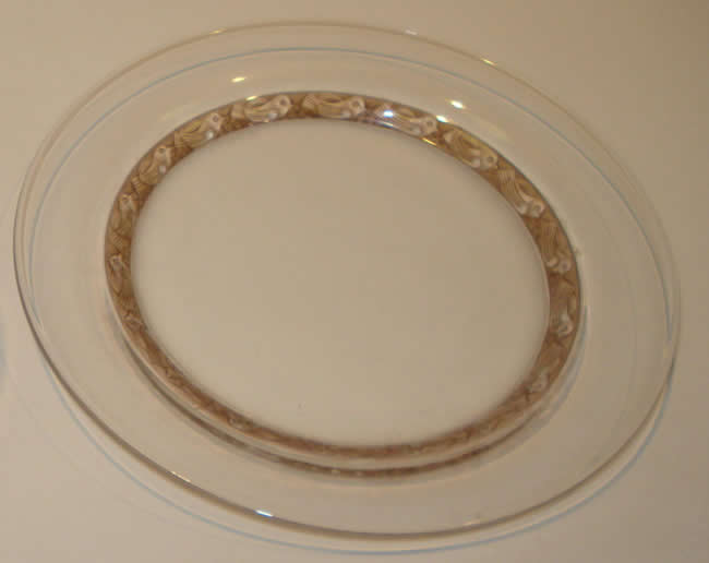 R. Lalique Dampierre Plate