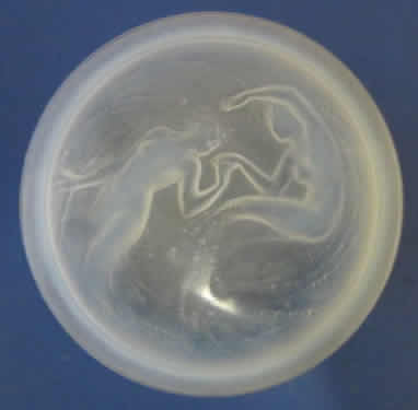 R. Lalique Deux Sirenes Small Powder Box
