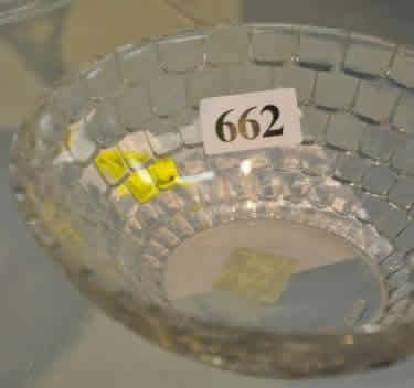 Rene Lalique Ecailles Dessert Bowl 
