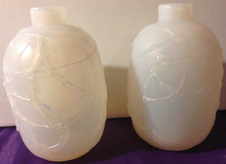 R. Lalique Eglantines Vase