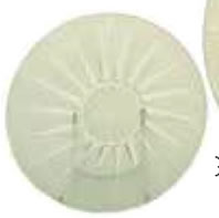 Rene Lalique Epis Plate 