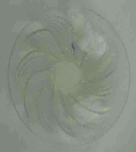 Rene Lalique Fleurons Bowl 