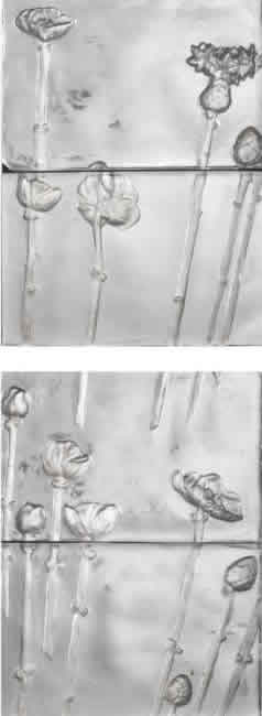 R. Lalique Fleurs Panel