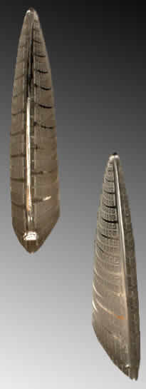 R. Lalique Fougeres Sconce