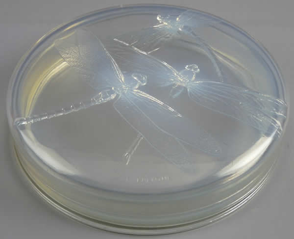R. Lalique Georgette Powder Box