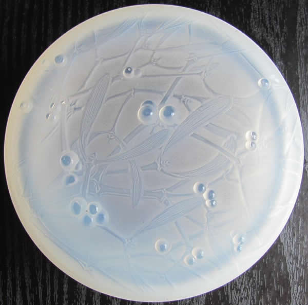 R. Lalique Gui Box