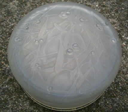 R. Lalique Gui Boite