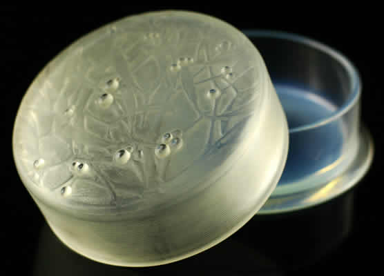 R. Lalique Gui Box