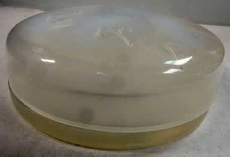 R. Lalique Houppes Powder Box