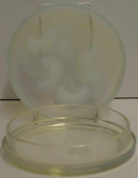 R. Lalique Houppes Box