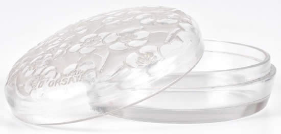 R. Lalique Le Lys Box