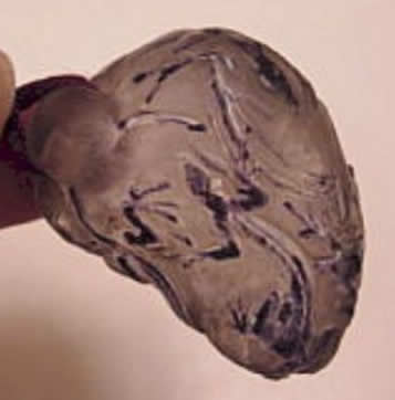 R. Lalique Lezards Pendant