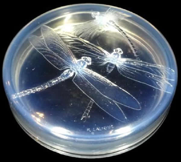 R. Lalique Georgette Box
