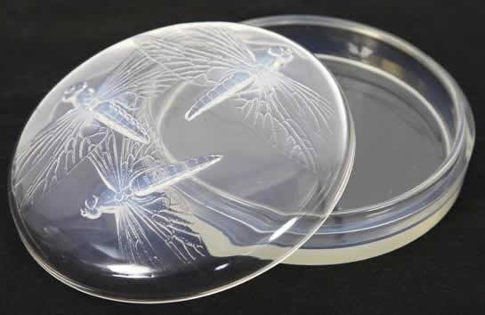 R. Lalique Libellules Box