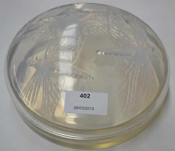 R. Lalique Libellules Box