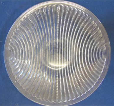 R. Lalique Lignes Plate