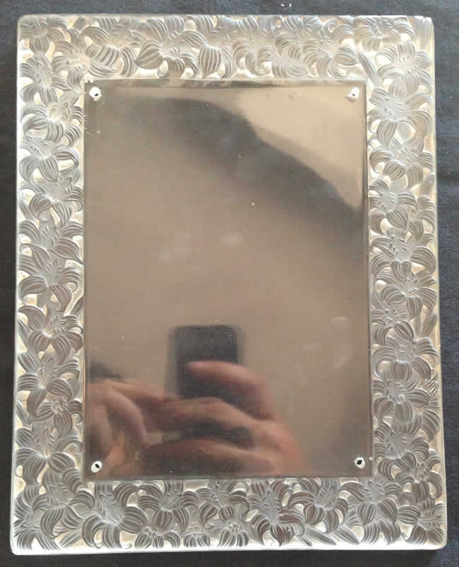 R. Lalique Lys Frame