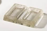 R. Lalique Marguerites Ashtray