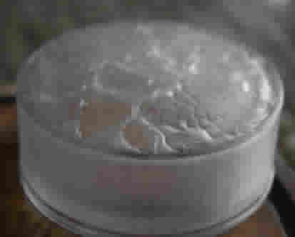 R. Lalique Meudon Covered Box