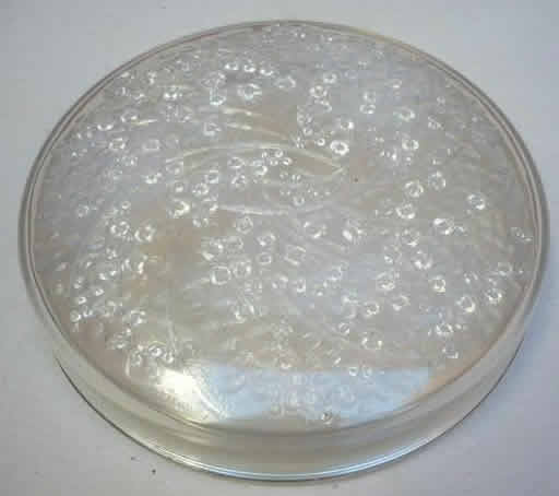 R. Lalique Muguets Box