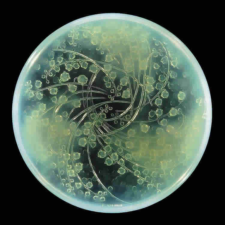 R. Lalique Muguets Covered Box