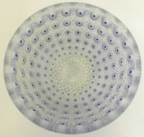 R. Lalique Nemours Coupe