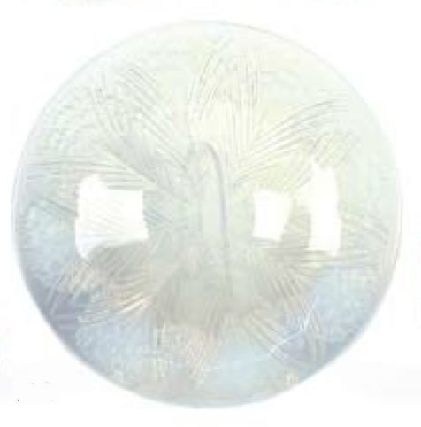 R. Lalique Oeillets Shallow Bowl
