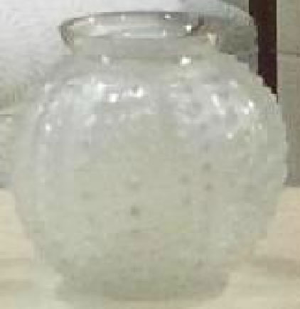 R. Lalique Oursin Vase