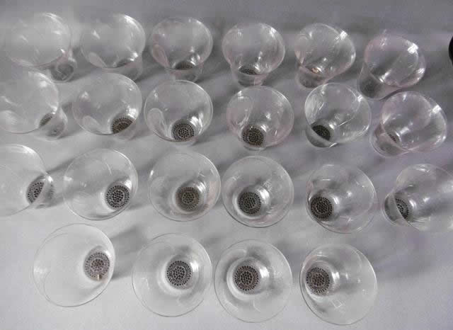 R. Lalique Pavot Glass