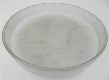 R. Lalique Phalenes Box Top