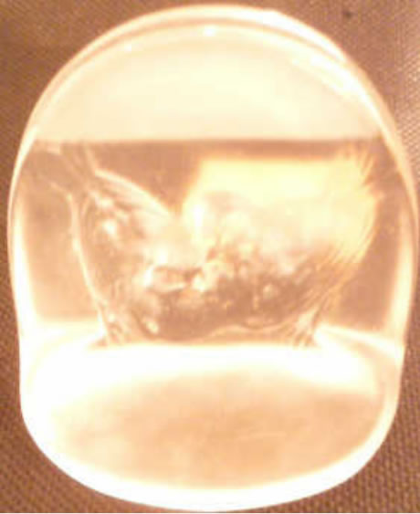 R. Lalique Pinsons Card Holder