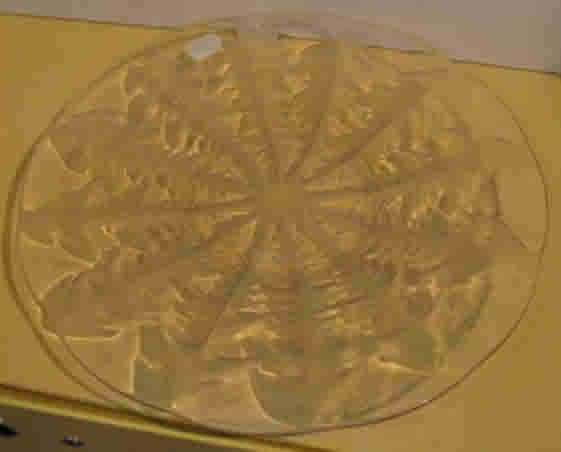 Rene Lalique Pissenlit Plate 