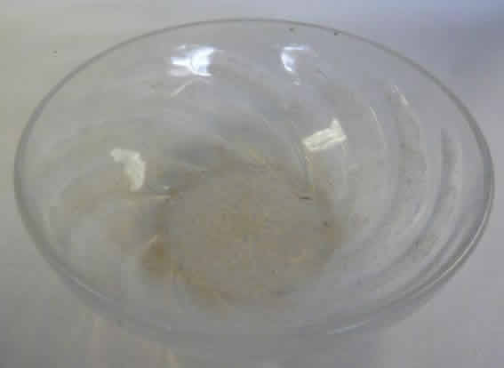 R. Lalique Poissons Bowl