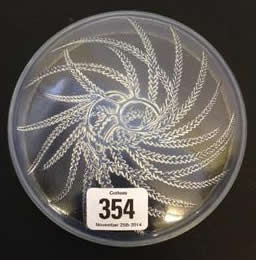 R. Lalique Quatre Flacons Box Top
