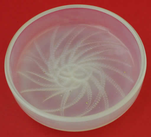 R. Lalique Quatre Flacons Box Top