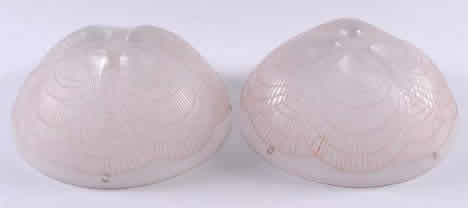 R. Lalique Coquilles Light Fixture