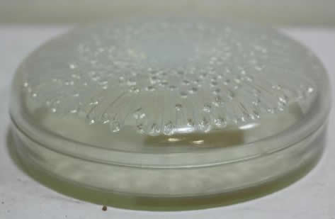 R. Lalique Tokio Box