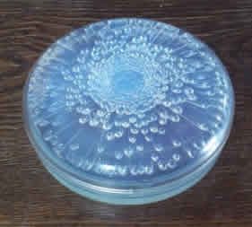 R. Lalique Tokio Box