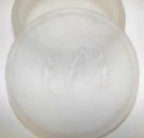 R. Lalique Trois Figurines Powder Box